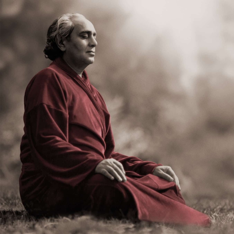 Swami Rama - Meditation - Biographie - Zur elften Stunde - Agni Verlag 2021n